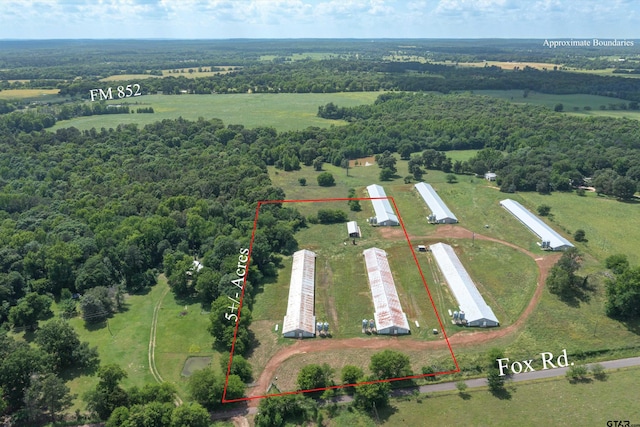 6705 Fox Rd, Gilmer TX, 75644 land for sale