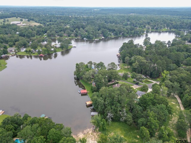 1020 Shadowood Dr, Marshall, TX 75672 - photo 46