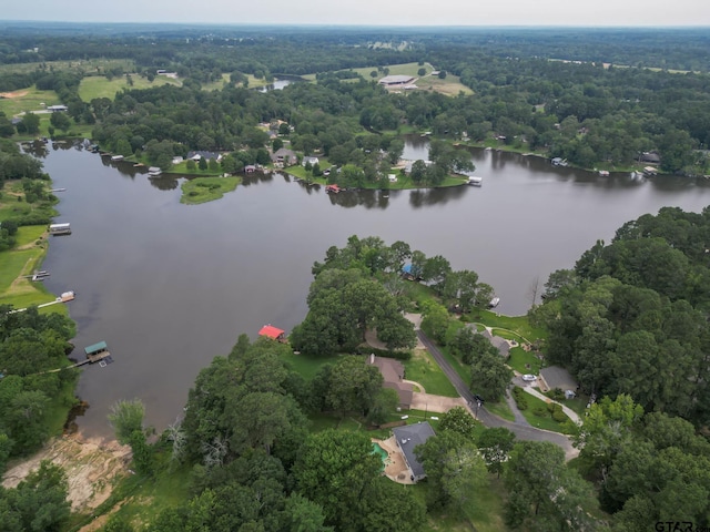 1020 Shadowood Dr, Marshall, TX 75672 - photo 45