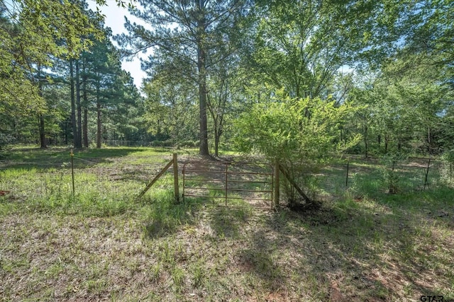 view of local wilderness