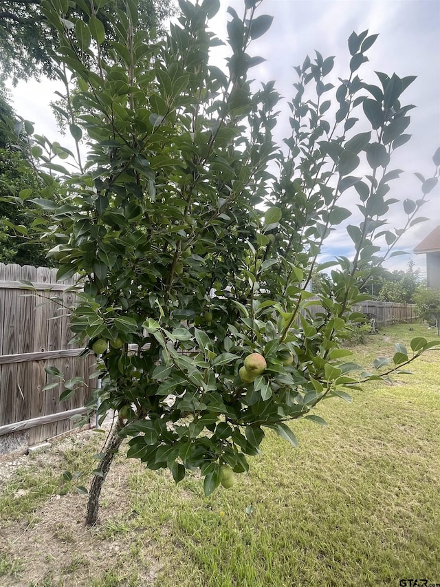 2709 Walton Rd, Tyler, TX 75701 - view of yard