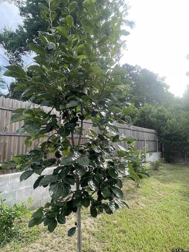 2709 Walton Rd, Tyler, TX 75701 - view of fenced backyard