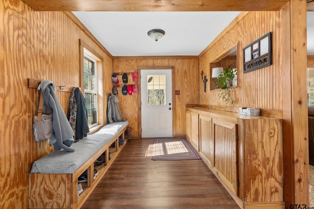 mudroom with ornamental molding, dark hardwood / wood-style flooring, and wood walls