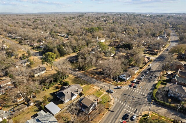 501 E Park Ave, Palestine, TX 75801 - aerial perspective of suburban area with a forest