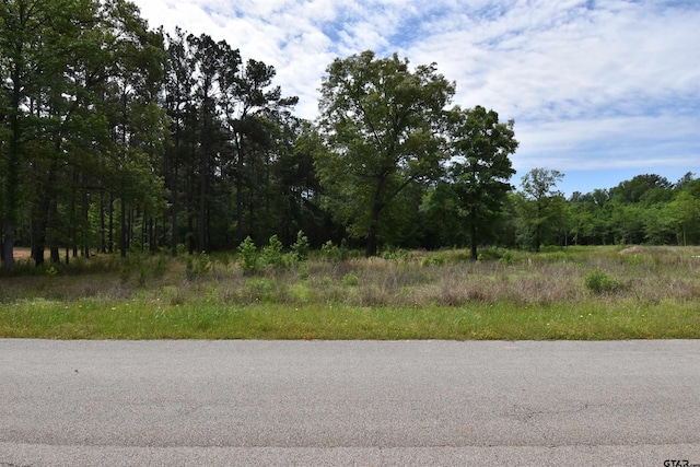 24281 Stallion Park Pl, Lindale TX, 75771 land for sale