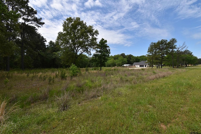 Listing photo 2 for 24281 Stallion Park Pl, Lindale TX 75771