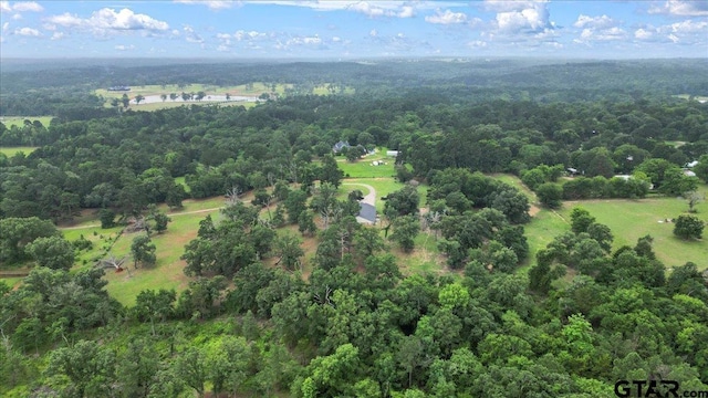 17507 County Road 479, Lindale, TX 75771 - photo 45