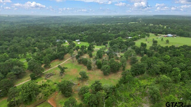 17507 County Road 479, Lindale, TX 75771 - photo 41