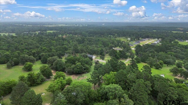17507 County Road 479, Lindale, TX 75771 - photo 42