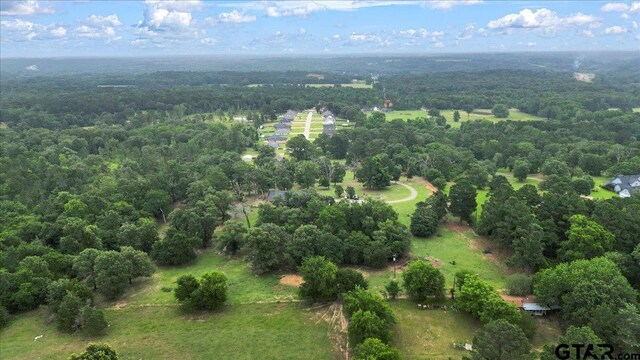 17507 County Road 479, Lindale, TX 75771 - photo 43