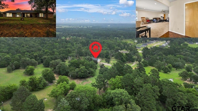 17507 County Road 479, Lindale, TX 75771 - photo 47