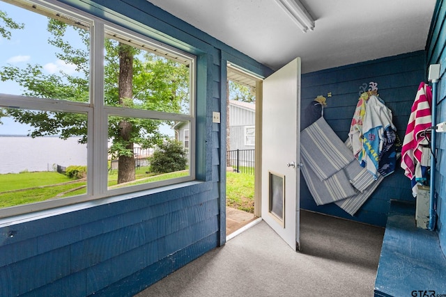 21028 Bay Shore Dr, Flint, TX 75762 - entryway featuring carpet and healthy amount of natural light
