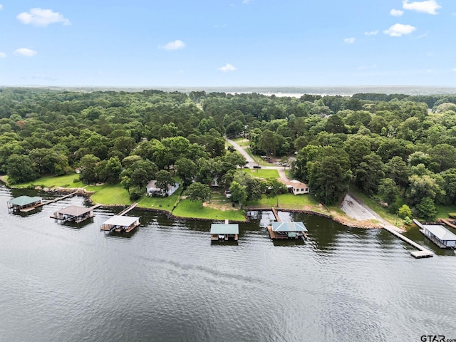 21028 Bay Shore Dr, Flint, TX 75762 - drone / aerial view of a large body of water and a forest