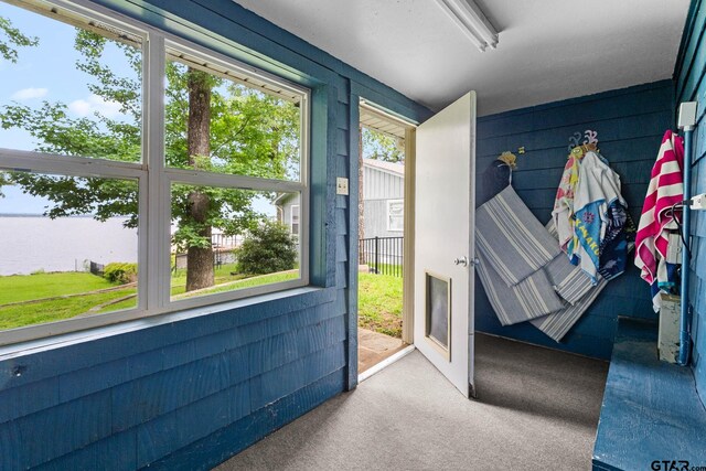 21028 Bay Shore Dr, Flint, TX 75762 - entryway with carpet floors and plenty of natural light
