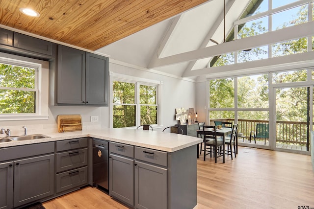 kitchen with sink, kitchen peninsula, high vaulted ceiling, light hardwood / wood-style flooring, and gray cabinetry