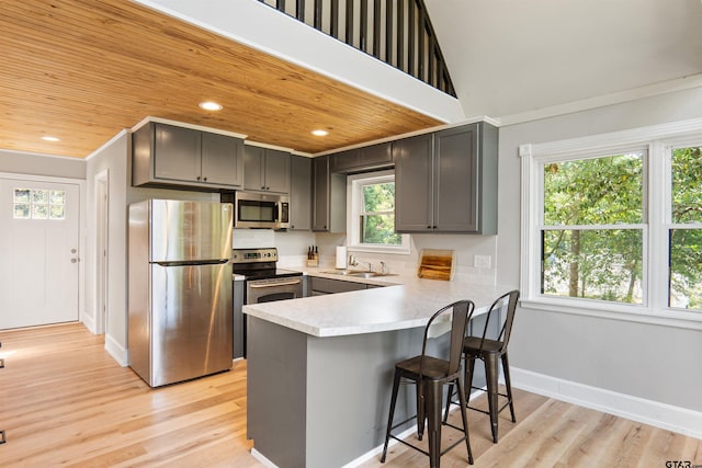 kitchen with stainless steel appliances, a wealth of natural light, light hardwood / wood-style flooring, and kitchen peninsula