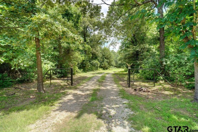 615 County Road 1785, Yantis, TX 75497 - photo 21