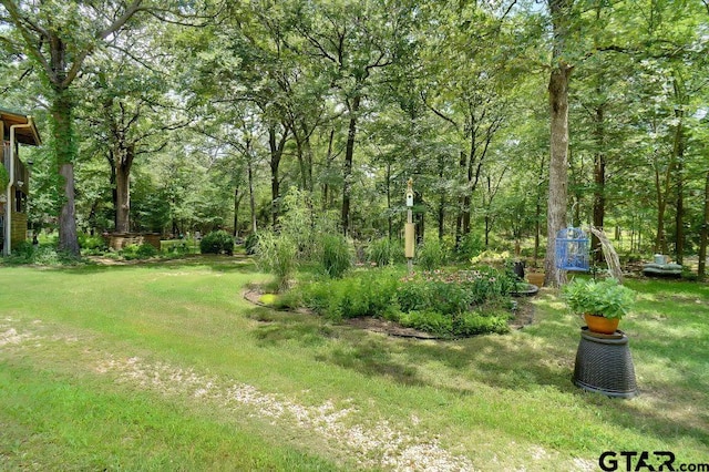 615 County Road 1785, Yantis, TX 75497 - photo 25
