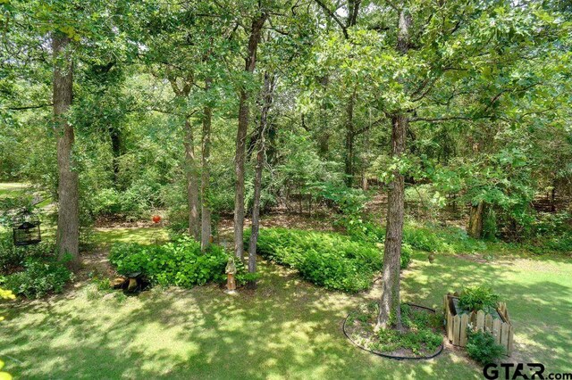 615 County Road 1785, Yantis, TX 75497 - photo 26