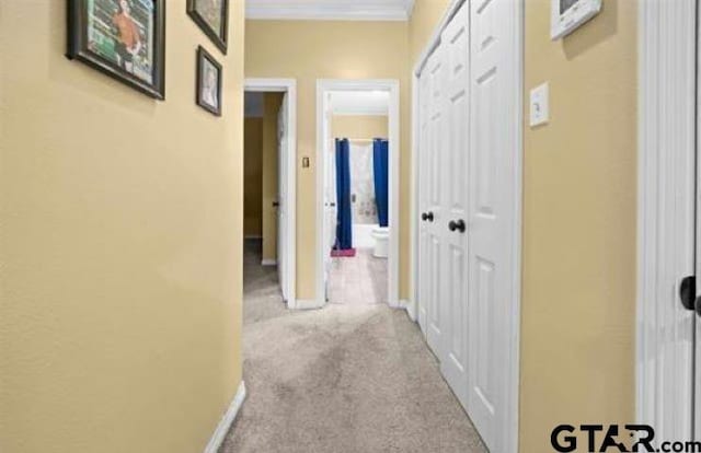 corridor with light colored carpet and ornamental molding