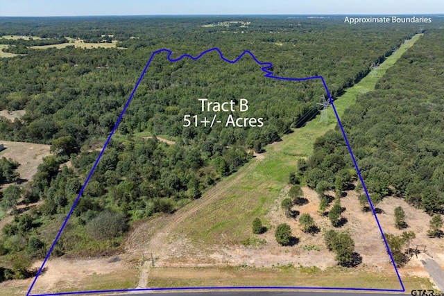 TractB Highway 69, Mineola TX, 75773 land for sale