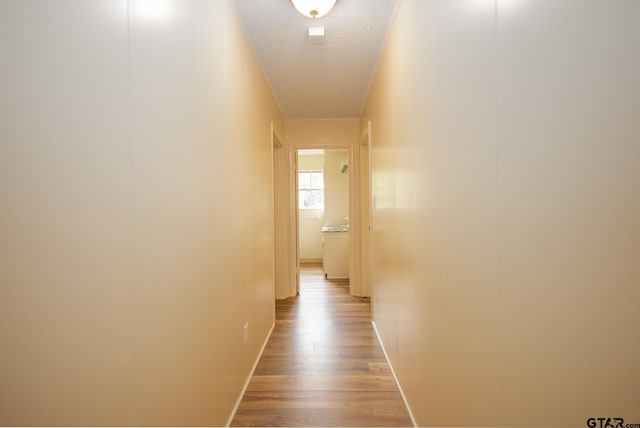 corridor with wood-type flooring and a textured ceiling