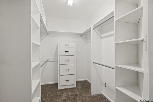 walk in closet with dark carpet