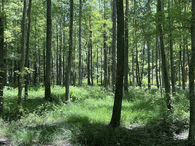 TBD E Fm 852, Winnsboro, TX 75494 - photo 3