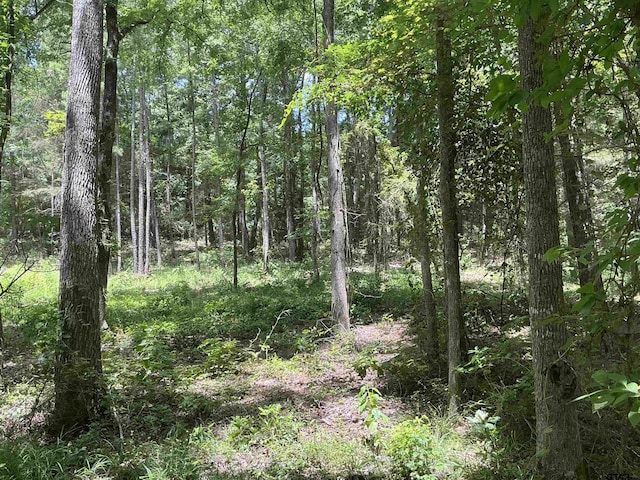 TBD E Fm 852, Winnsboro, TX 75494 - photo 6