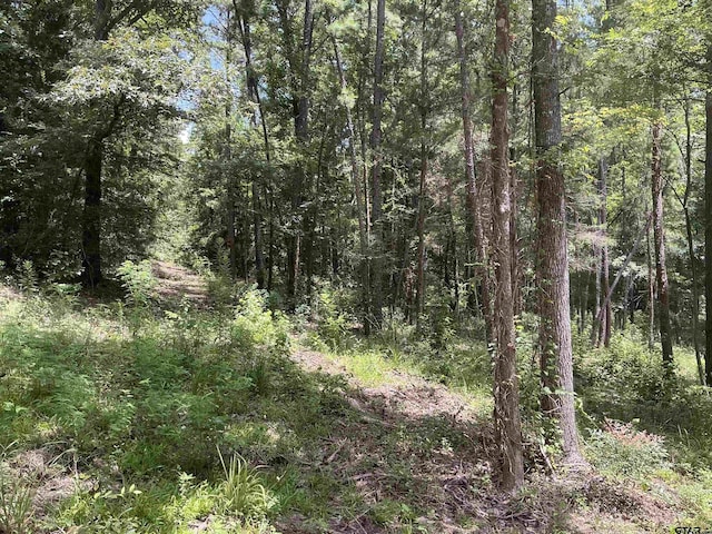 TBD E Fm 852, Winnsboro, TX 75494 - photo 5