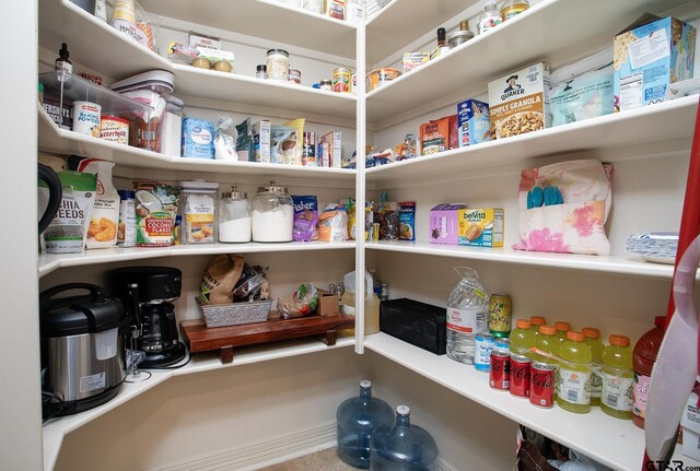 11208 Marsh Wren Cir, Flint, TX 75762 - view of storage area