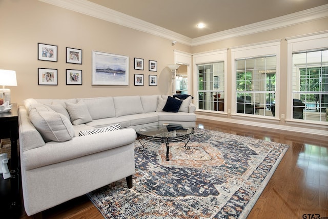 11208 Marsh Wren Cir, Flint, TX 75762 - living area featuring crown molding, wood finished floors, plenty of natural light, and recessed lighting