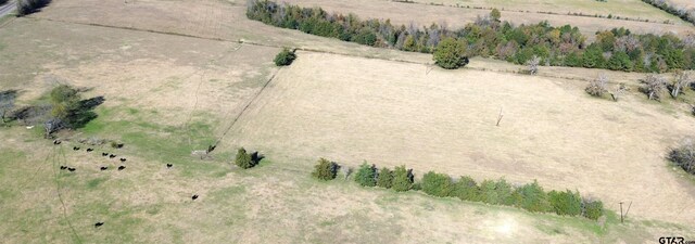TBD S State Highway 19, Crockett, TX 75835