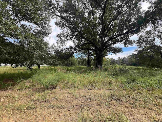 14688 County Rd 424, Lindale TX, 75771 land for sale