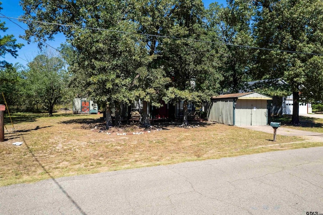 view of yard with a shed