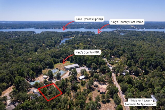 407 Kings Country Blvd, Scroggins, TX 75480 - photo 4