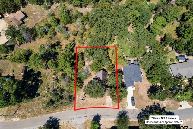 407 Kings Country Blvd, Scroggins, TX 75480 - photo 5