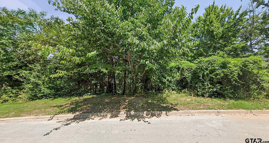 4513 Cascades Shoreline Dr, Tyler, TX 75709 - photo 4