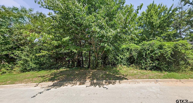 4513 Cascades Shoreline Dr, Tyler, TX 75709 - photo 4