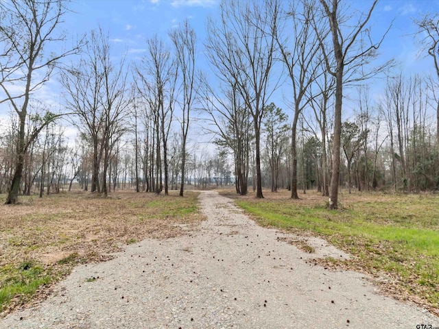 11661 Fm 852, Gilmer, TX 75644 - view of street