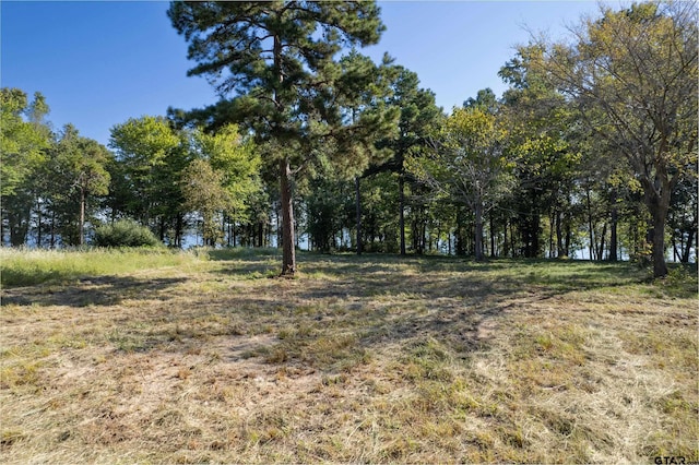 3110 Shadow Pine Dr, Larue TX, 75770 land for sale