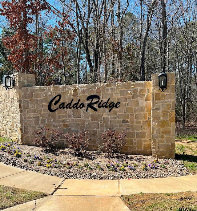 9295 Caddo Ridge Cv, Tyler TX, 75703 land for sale