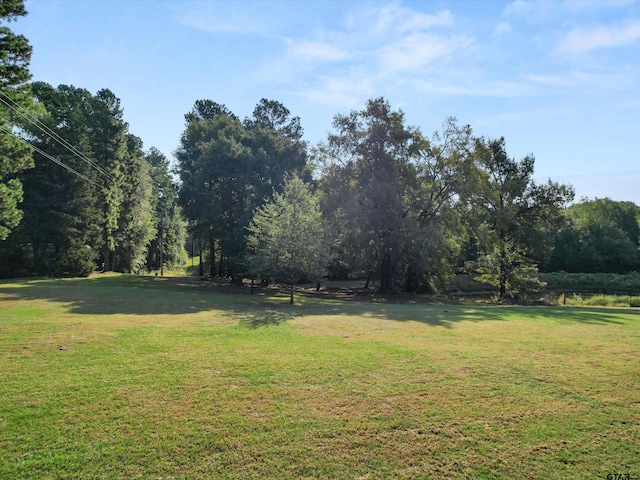1017 Pheasant Rd, Gilmer, TX 75644 - photo 26