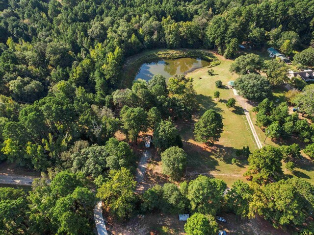 1017 Pheasant Rd, Gilmer, TX 75644 - photo 31