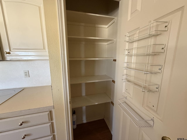 view of pantry