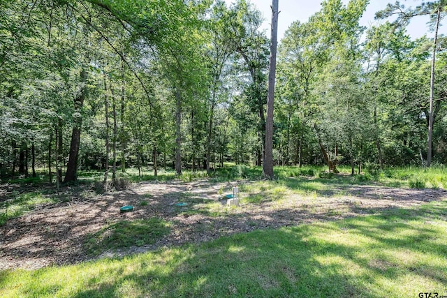 2133 E Holly Trl, Holly Lake Ranch, TX 75765 - photo 30