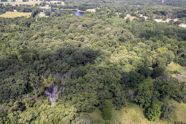 TBD County Road 462, Mineola, TX 75773 - photo 6