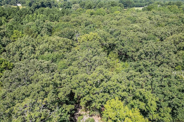 TBD County Road 462, Mineola, TX 75773 - photo 12