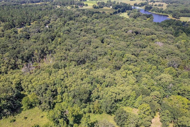 TBD County Road 462, Mineola, TX 75773 - photo 4