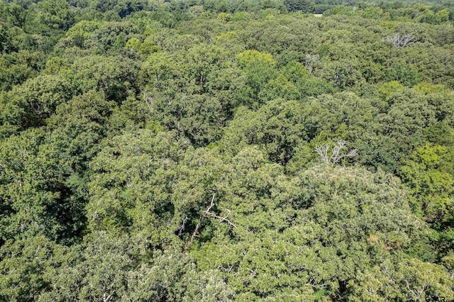 TBD County Road 462, Mineola, TX 75773 - photo 11